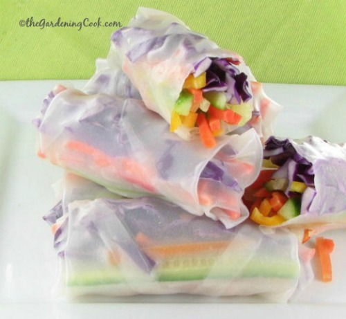 Gluten Free Vegetable Salad Rolls with Vietnamese Dipping Sauce