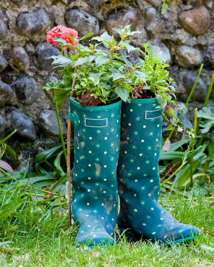 Wellington boot planters