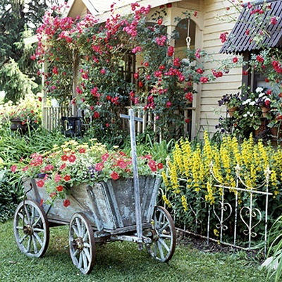 Goat cart with petunias and yellow daisies