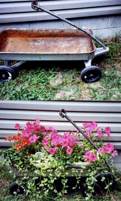 Wheel barrow planter gift from son turns into a lovely planter