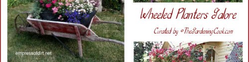 Wheelbarrow Planters – Reuse Re Purpose Recycle