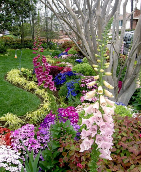 cottage garden