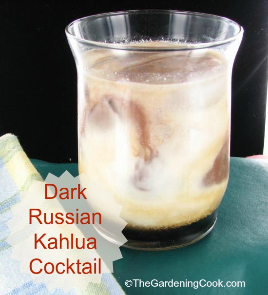 Dark Russian Kahlua cocktail