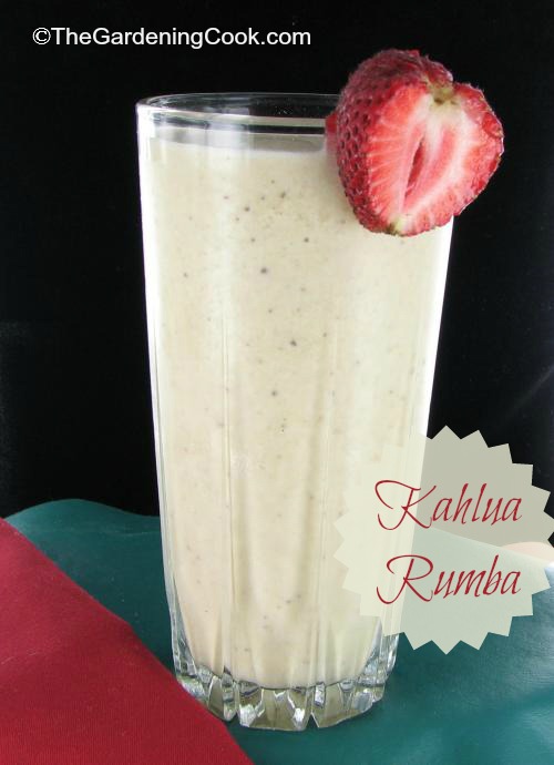 Kahlua Rumba Cocktail