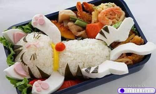 Kitty Food plate