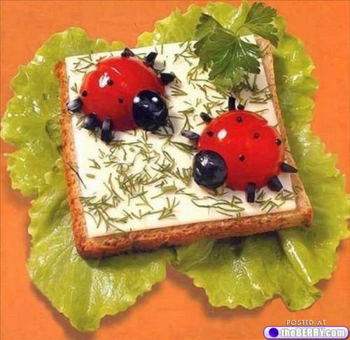 Lady bugs in a sandwich
