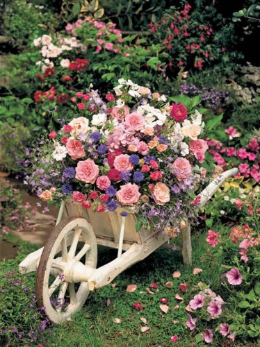 Wheelbarrow planter