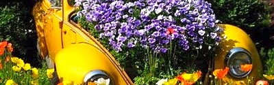 Pimp My Ride – Car Planters Gone Wild