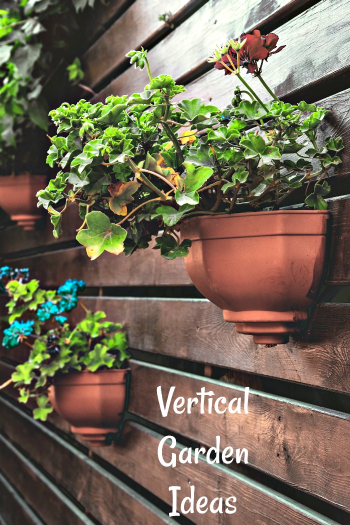 Lots of ideas for vertical gardens