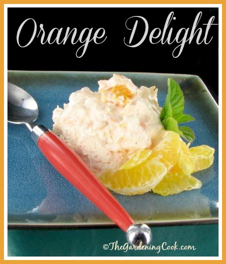 Orange Delight – Refreshing Citrus Salad
