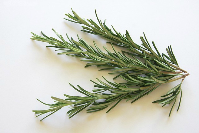 Rosemary sprig