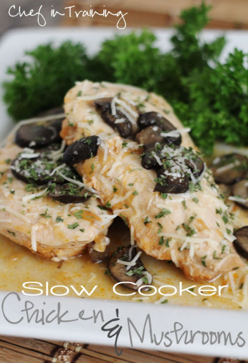 best recipes