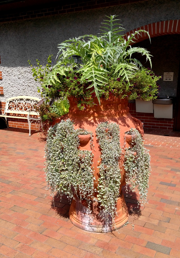 Strawberry planter at Biltmore estates