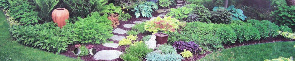 Test Garden – Experimenting with a Variety of Plants and Flowers