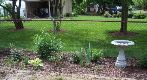 test garden