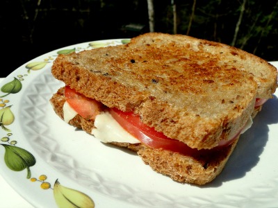 toasted sandwich
