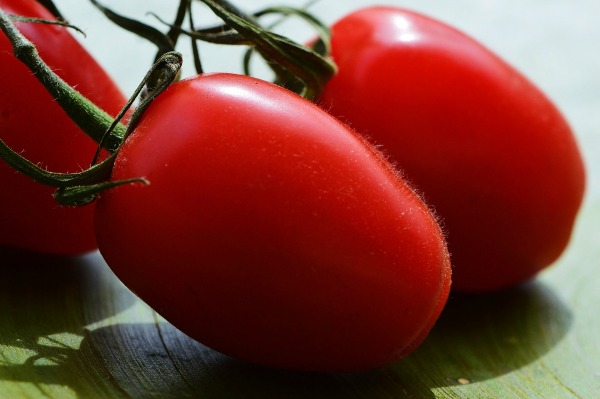 There is nothing like the taste of a sweet home grown tomato