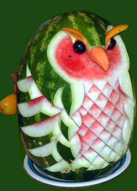 watermelon owl