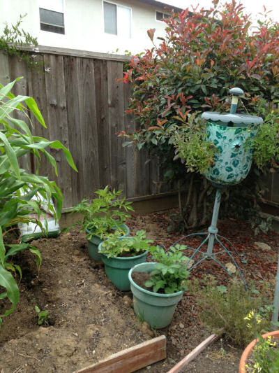 Planters in a courtyard.