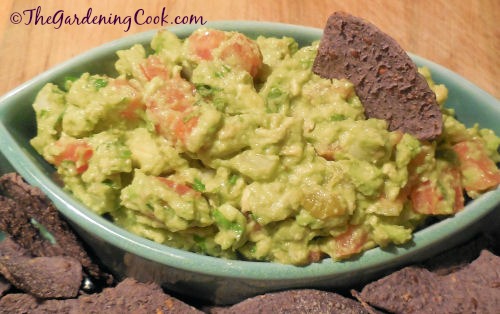 Best Ever home made guacacmole