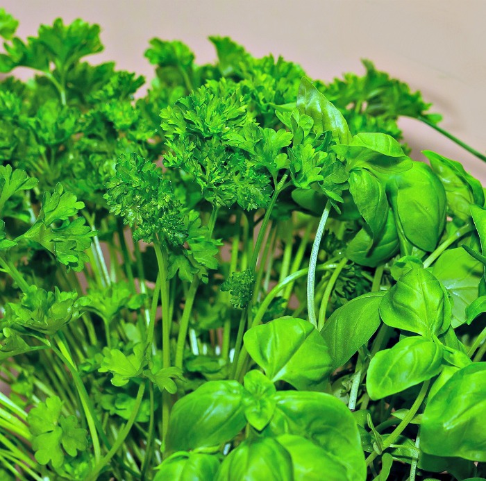 Basil and parsley