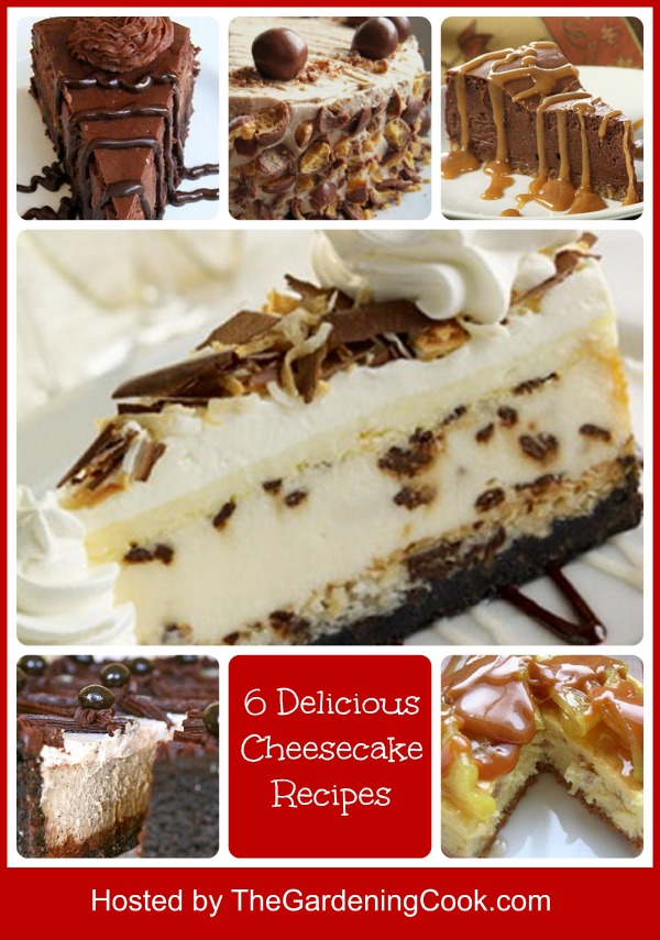 Cheesecake recipe Roundup of 6 Delicious Cheesecake Recipes