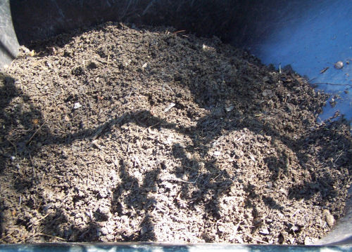 Finished compost.