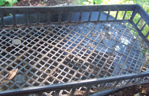 Plastic tray ready for adding compost to screen.