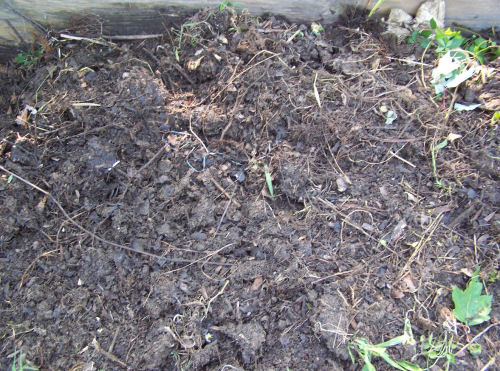 Compost Pile that has been turned once and is in the process of becoming compost
