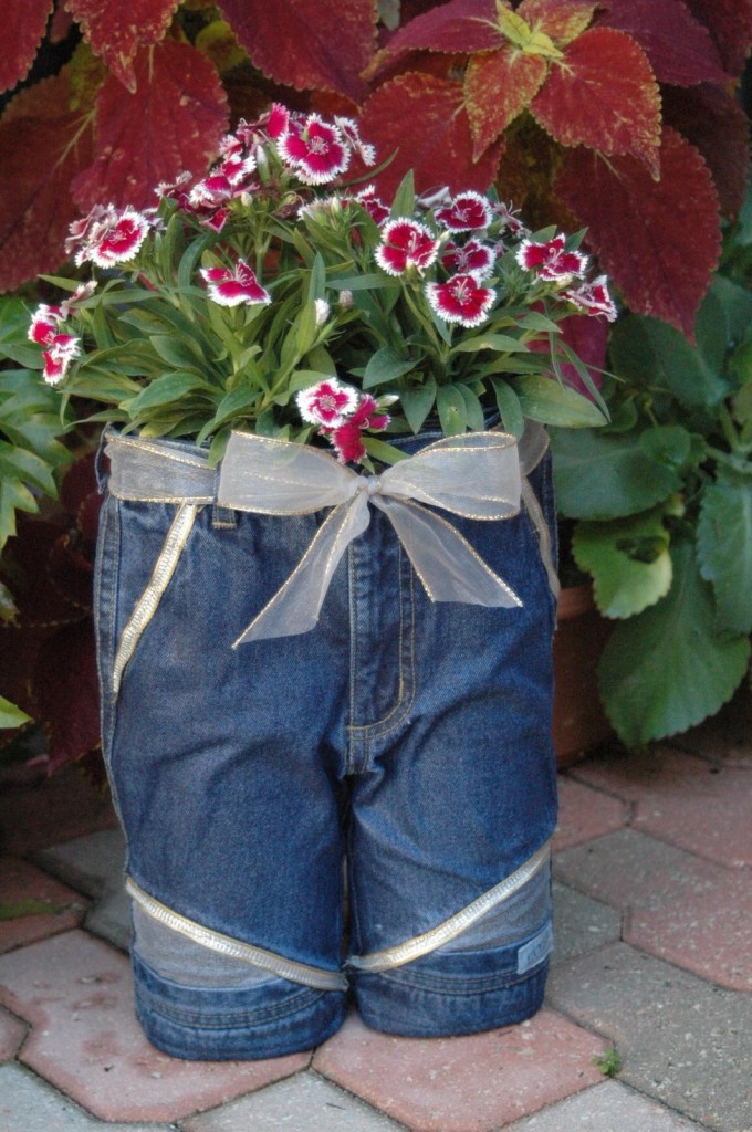 Blue Jean planters