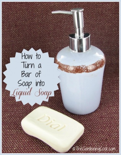 Make your own liquid soap from an ordinary bar of soap.