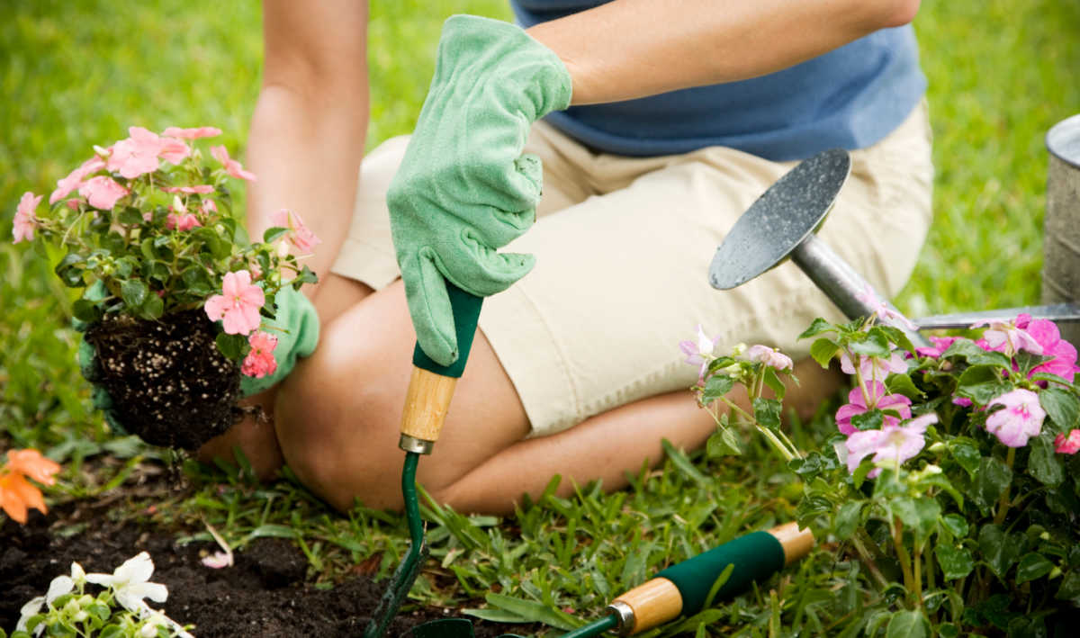 Garden time Lady kneeling with garden tools and plants.