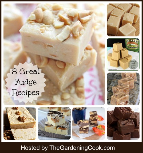 Round up of 8 Great Fudge Recipes