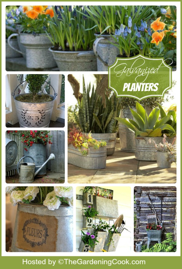 Galvanized planters for a unique cottage garden look.
