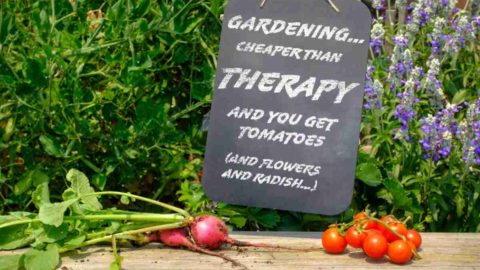 Gardening Cooking Humor – Collection of Jokes and Funnies