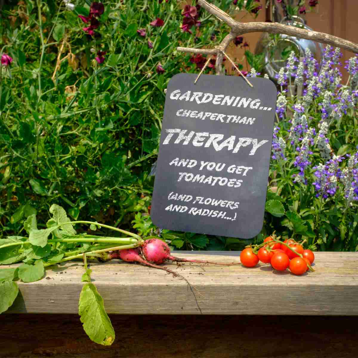 Vegetables on a bench with garden sign.