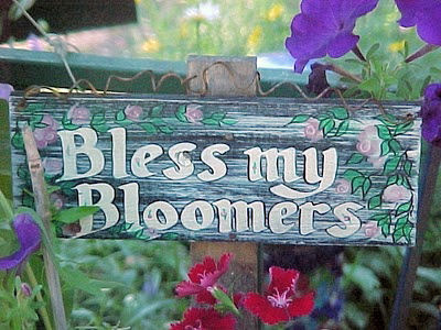 Bless my bloomers Garden sign