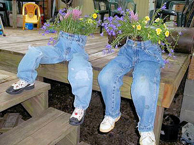 Blue Jean planters