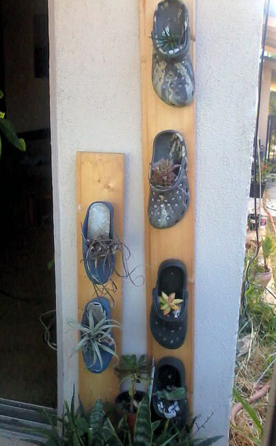 Clog planters