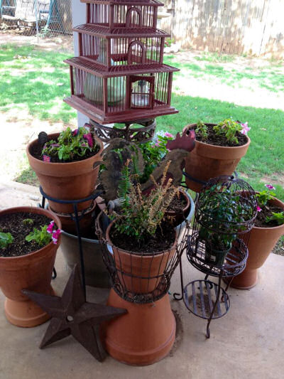 Stunning collection of planters with a bird cage at back.