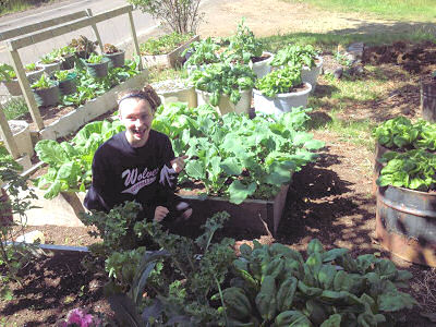Vegetable Harvest