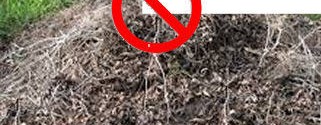 12 things you Should never compost