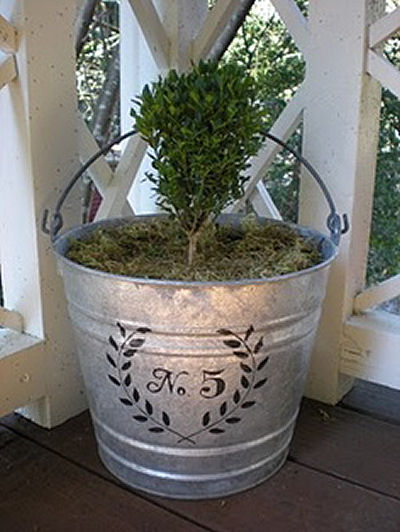 Small shrub planted in a galvanized bucket that has been stenciled with the house number