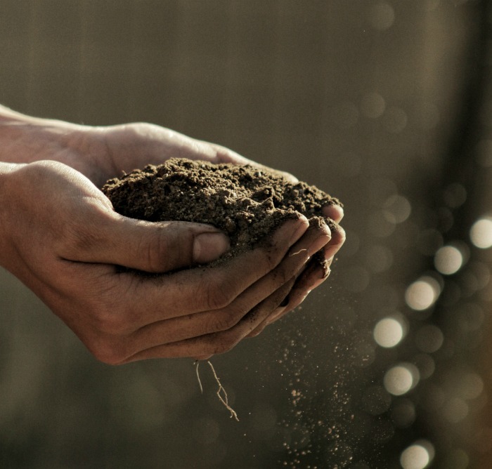 Hands holding compost