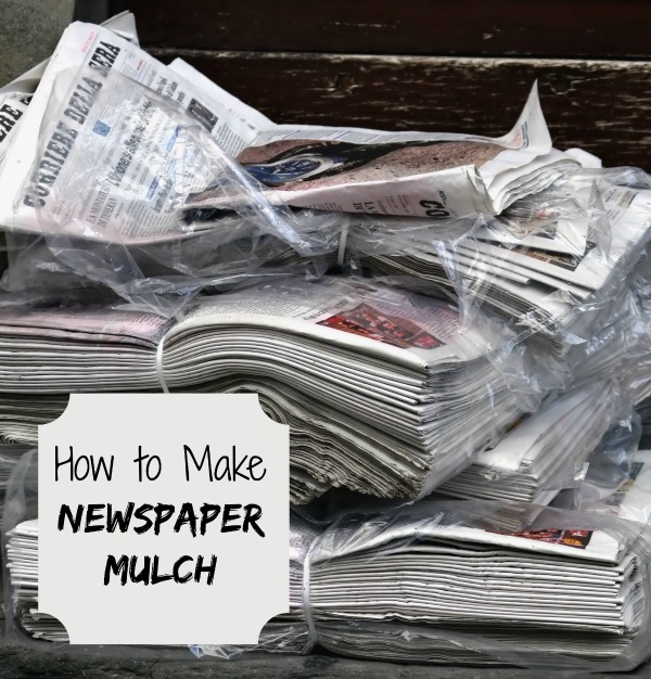 How to Make Newspaper Mulch