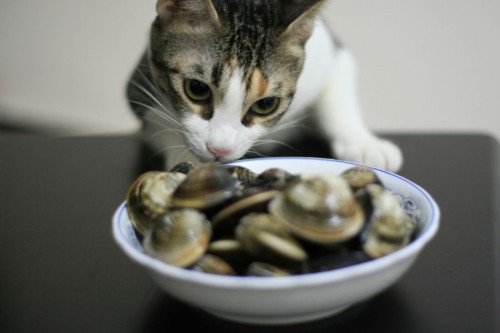 Don't shop when hungry. You will overspend!