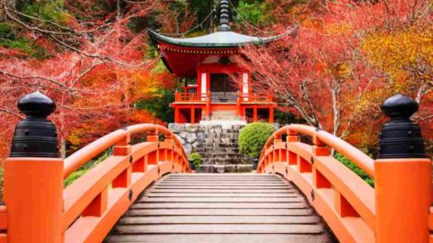Gardens of Kyoto Japan