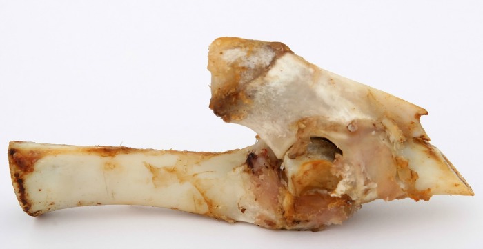 Don't add meat scraps and bones to the compost pile
