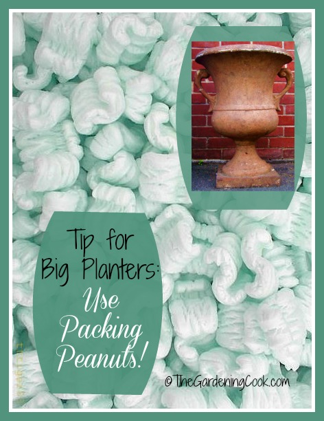 Planting Tip for Big Pots – Use Packing Peanuts