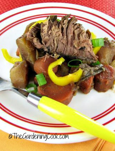 Beef stew with Root Vegetables
